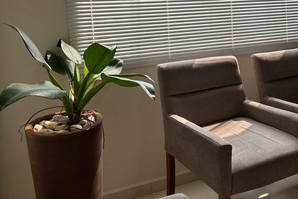 Couch and plant in the waiting room a therapist while trying to plan their ethical course that complements their therapy practice